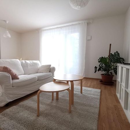 Gemuetliches Privatzimmer In Geraeumiger Gemeinschaftswohnung Dresden Ngoại thất bức ảnh