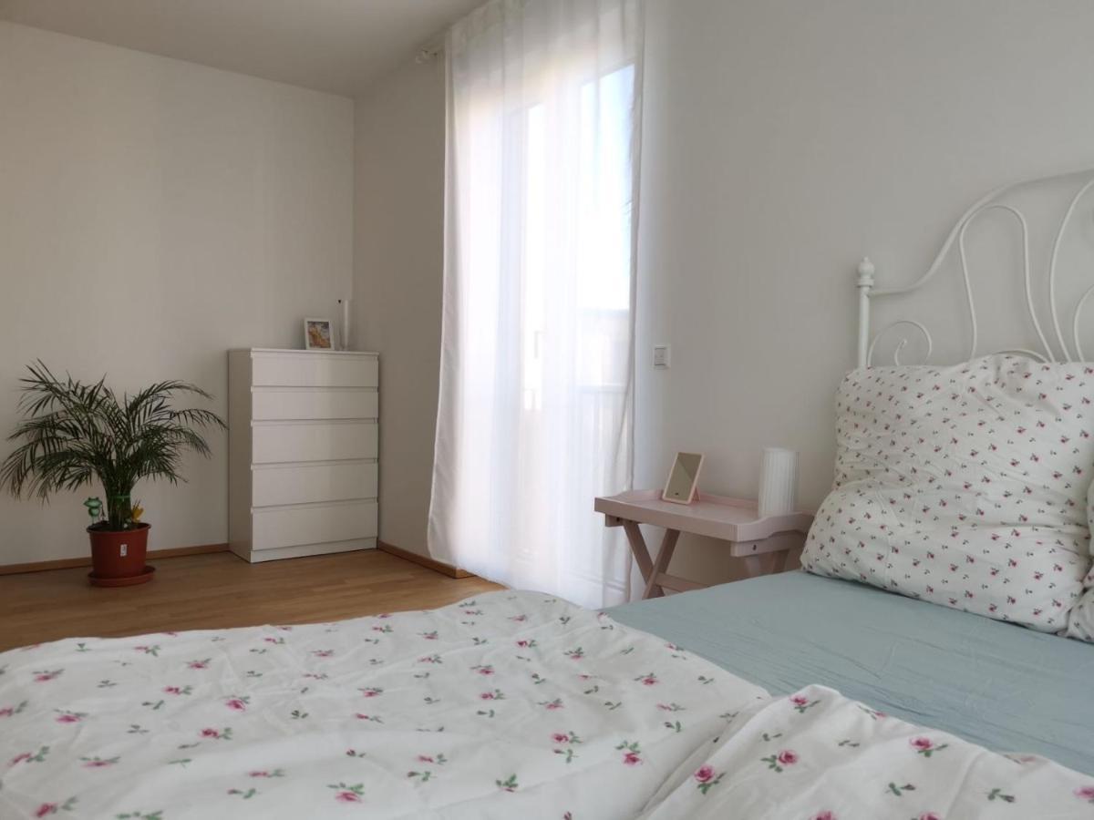 Gemuetliches Privatzimmer In Geraeumiger Gemeinschaftswohnung Dresden Ngoại thất bức ảnh